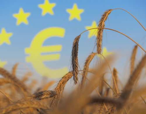 Regolamento Transitorio – Next Generation EU