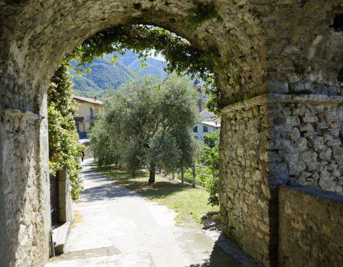 Contributi a fondo perduto per Agriturismi e Fattorie Didattiche.