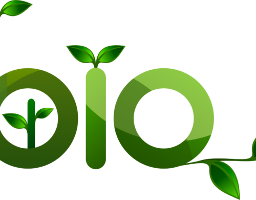 BIOLOGICO: IN EUROPA SI PUNTA AL 25% DELLA SUPERFICIE ENTRO IL 2030