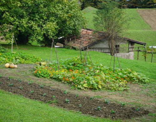 P.S.R. REGIONE TOSCANA 2014-2022